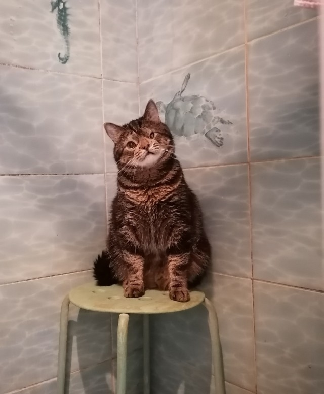 Победил в сражении с банкой шпрот