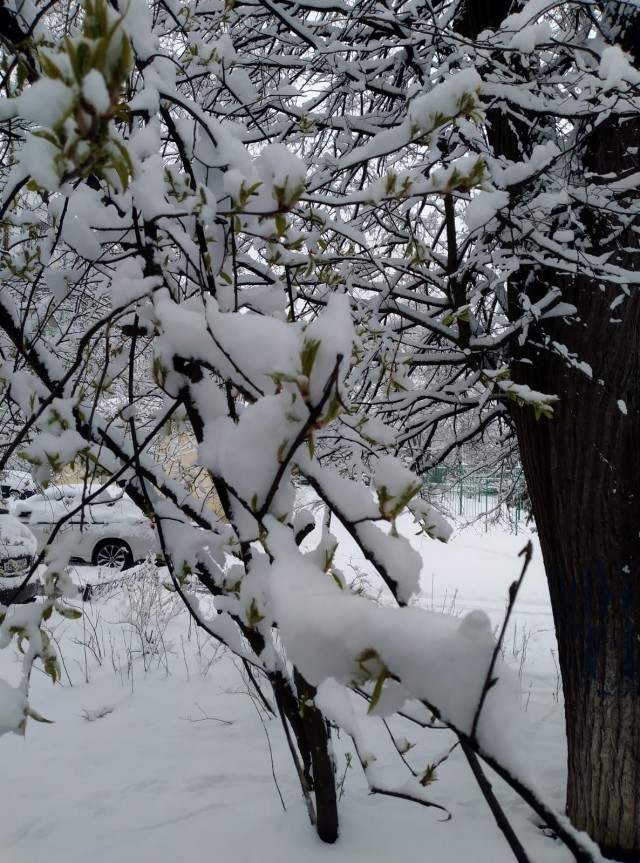 Весна пробивает себе дорогу