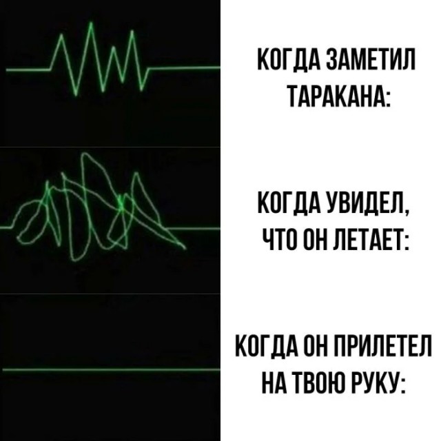 Юмор для тех, кто уже повзрослел и понял, что выходные — это миф