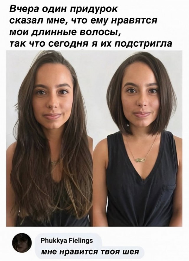 Веселые картинки в пятницу (16.02)