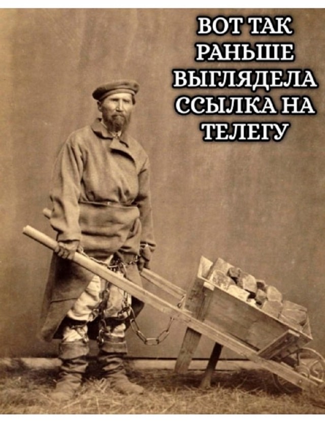Так себе картинки 28.07.25