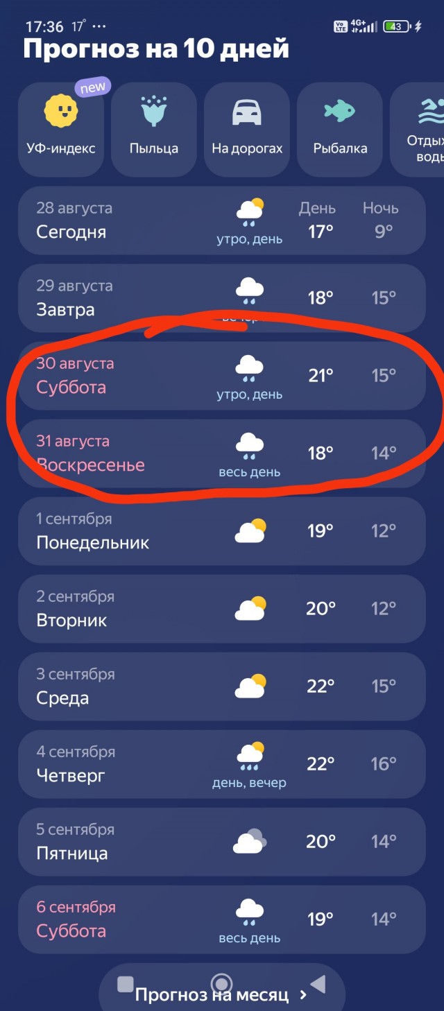 Сова, потеснись