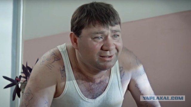 Количество кандидатов и докторов наук в России упало на 20% за 10 лет