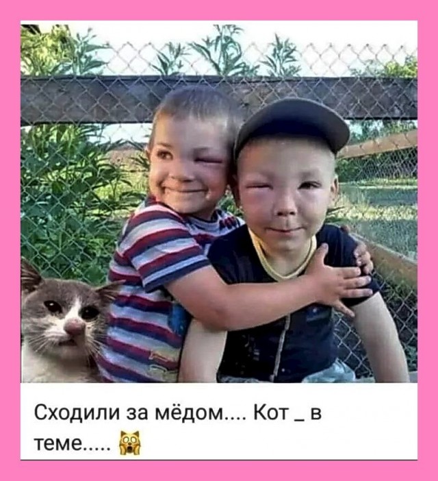 Прикольные и просто красивые картинки