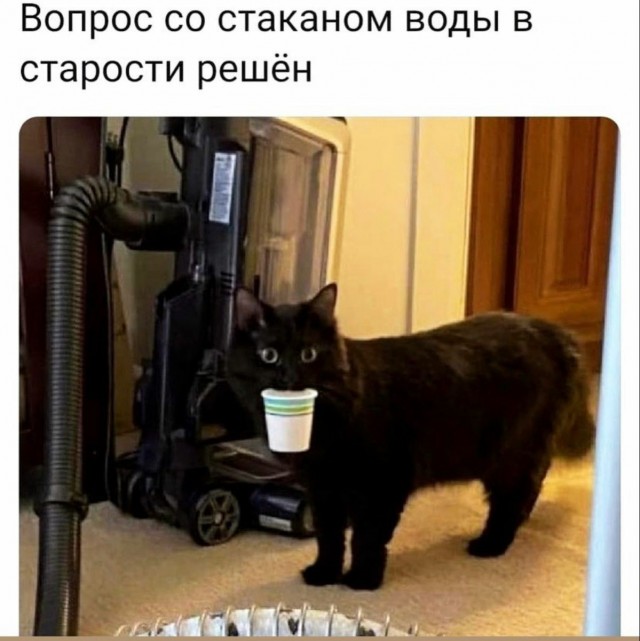 Куча мала