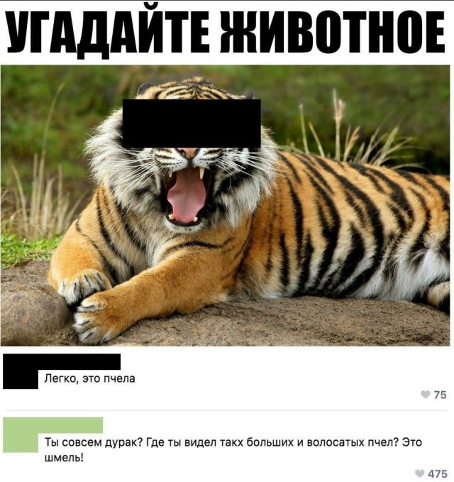 Картинки 15 октября