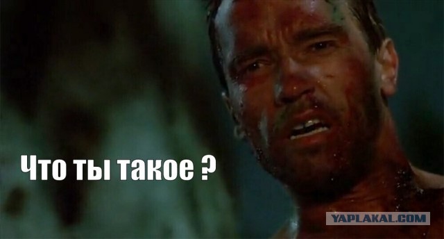 Сколько тратишь в месяц?