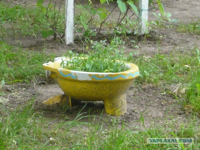 Двор, в котором я живу