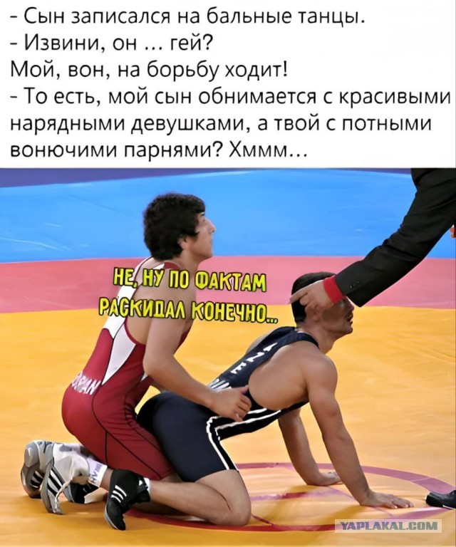 Так себе картинки 29.12.25