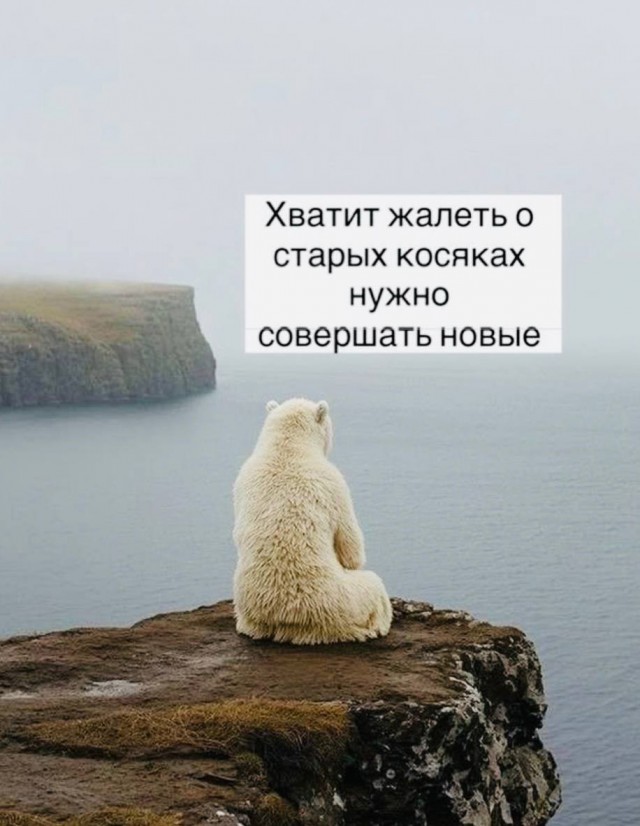 Картинки для деградации 117 (разной степени свежести)