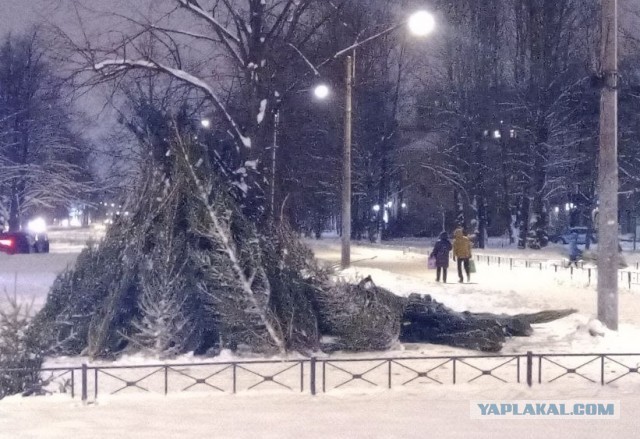 Ёлки с гигантской скидкой отдают российские магазины