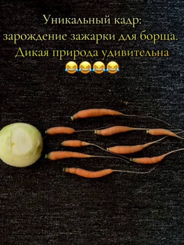 Ты чего избу не строишь?