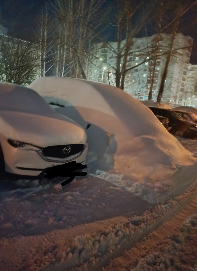 Подснежники в соседнем дворе