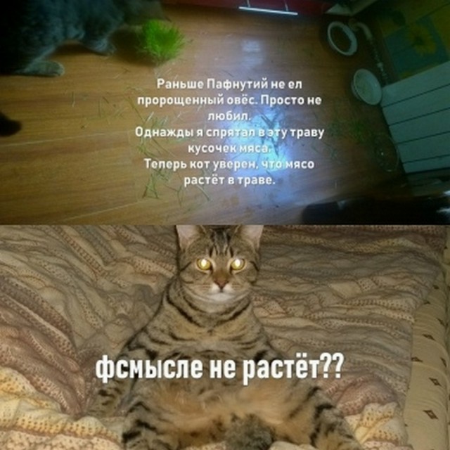 У кого