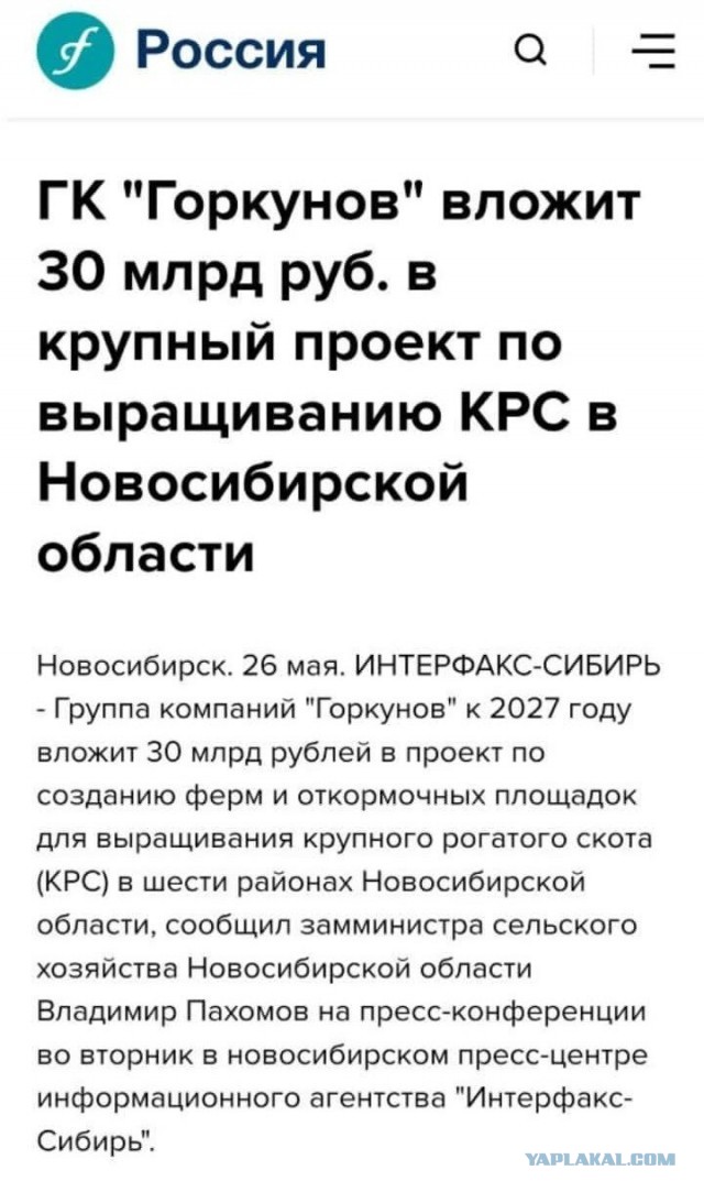 Почему массово уничтожают скот в частных хозяйствах России?