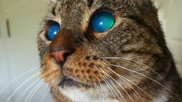 39 необычных фотографий, которые должны вам понравиться