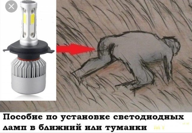 Как именно проверяют на Led лампочки