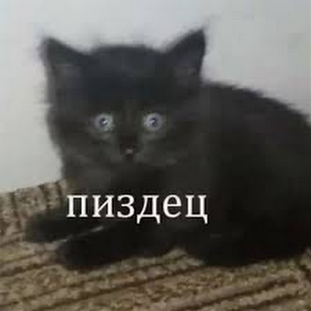 Вам нравится современный театр?