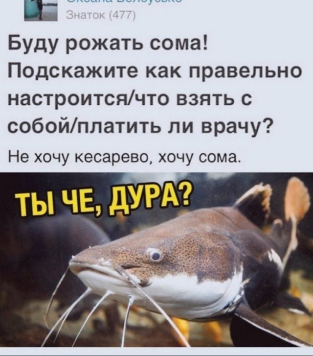 Просто Арсений
