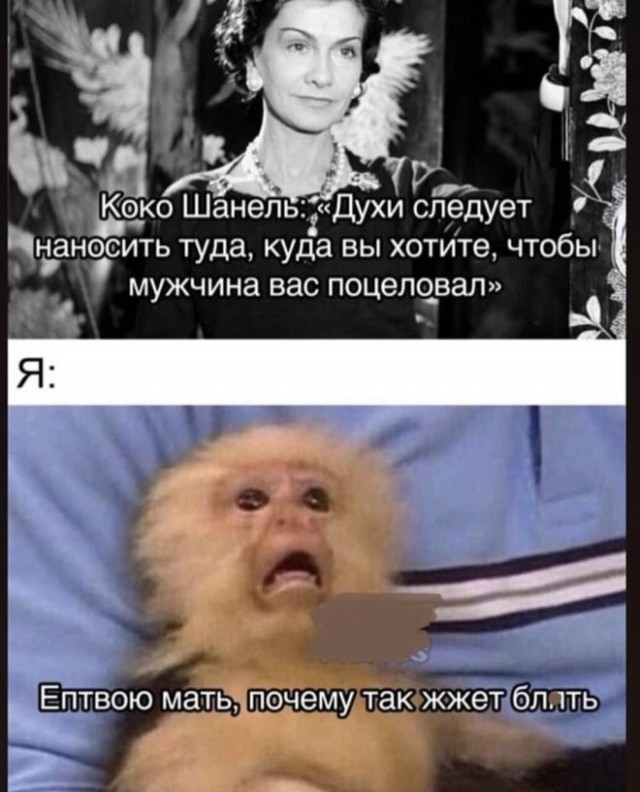 20986123.jpg