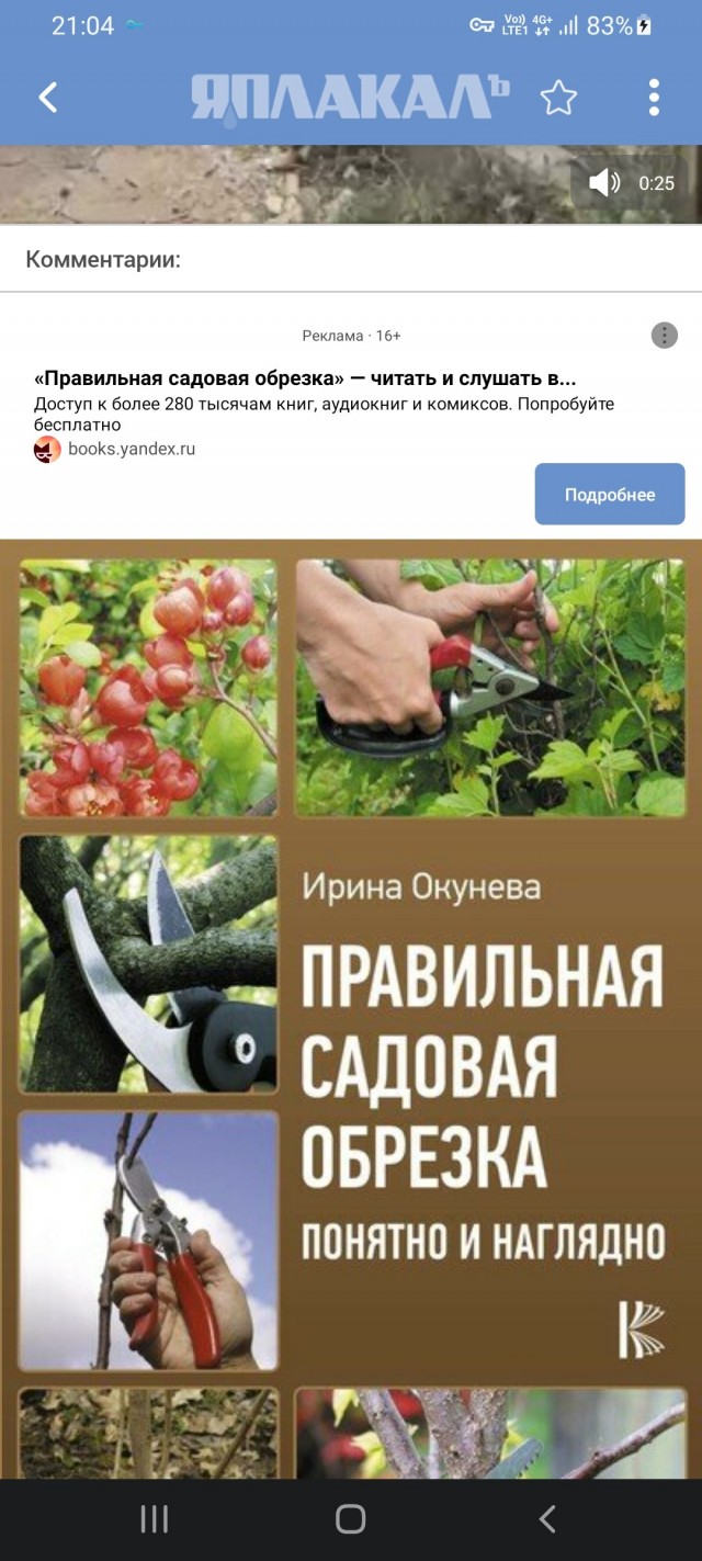 Огромные конопляные кусты растут прямо напротив наркодиспансера в Оренбургской области