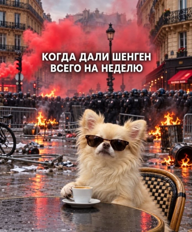 Буквально все мы в 2026 году