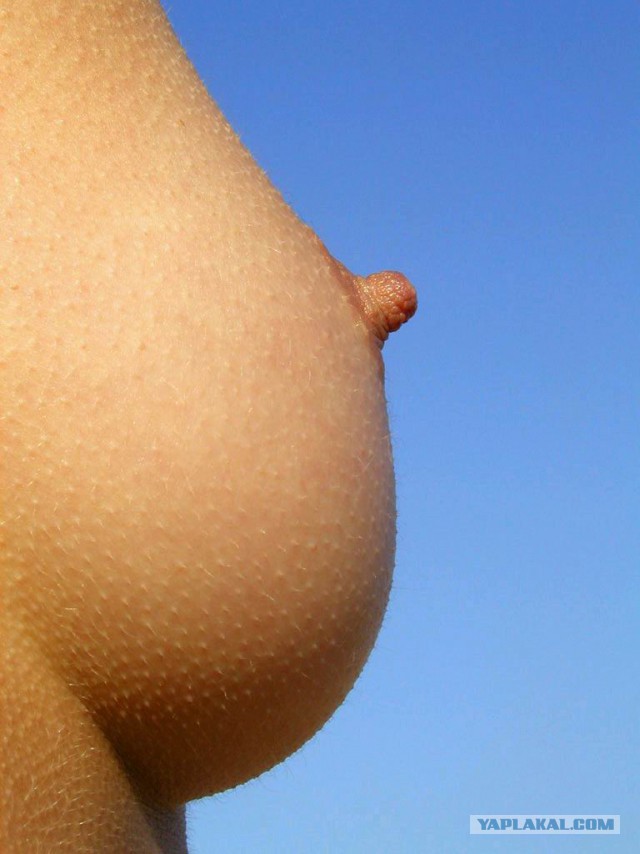Самые «горячие» девушки из приложения Hot or Not