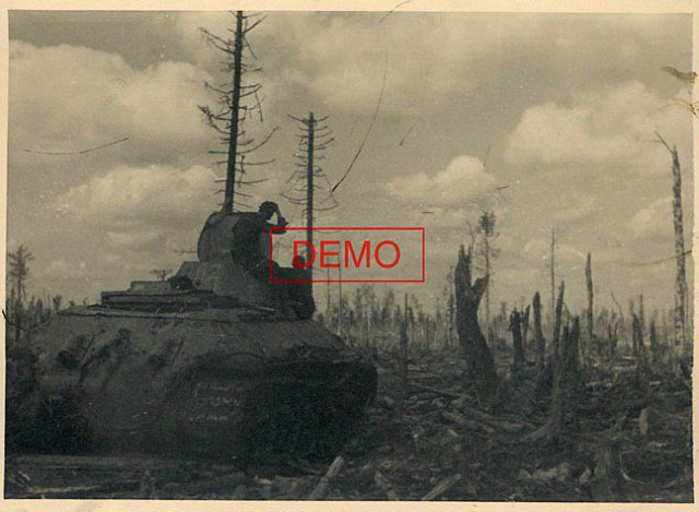 Синявино.
