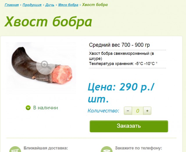 Харьковчанин спас бобра