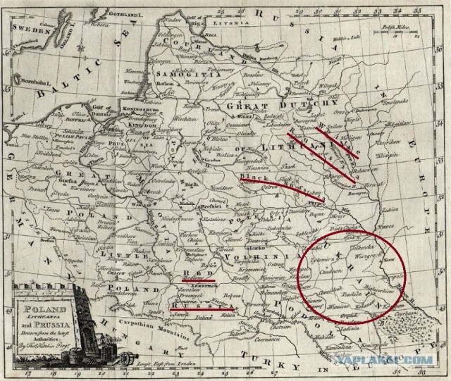 Я - русский оккупант