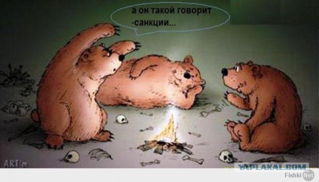 Солянка политическая #8