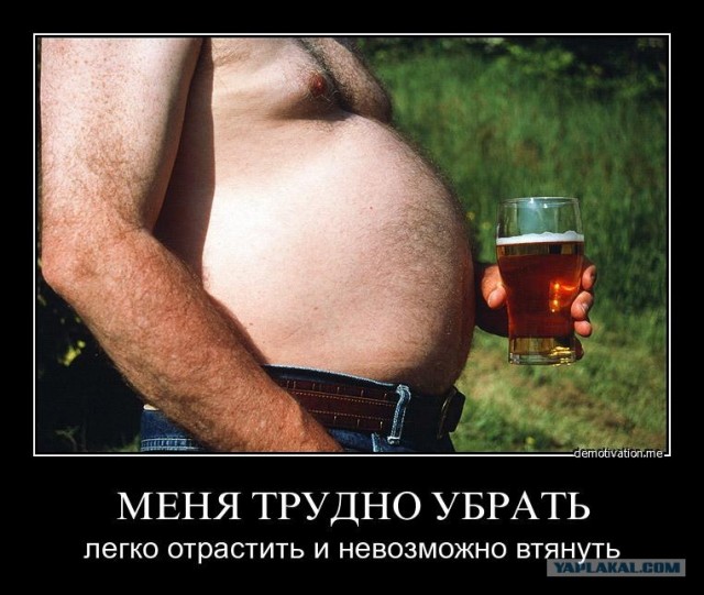 Моя коллекция пивных этикеток.