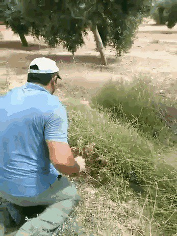 Поймал голыми руками!