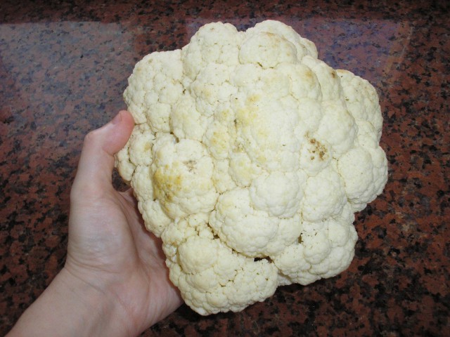 По следам прославленных кулинаров, День повара – 20 октября.