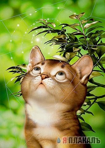 Позитивные нарисованные животые!