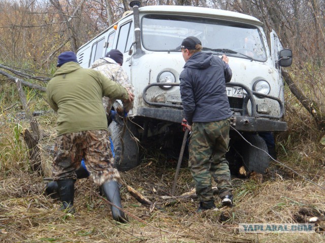 Буханка прет напролом