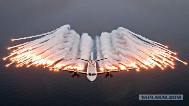 Интересные и веселые картинки