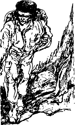 ЧЕ. Чегивара и Ко.
