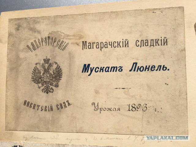 Альбом из бабушкиного сундука или как наши предки пили и курили