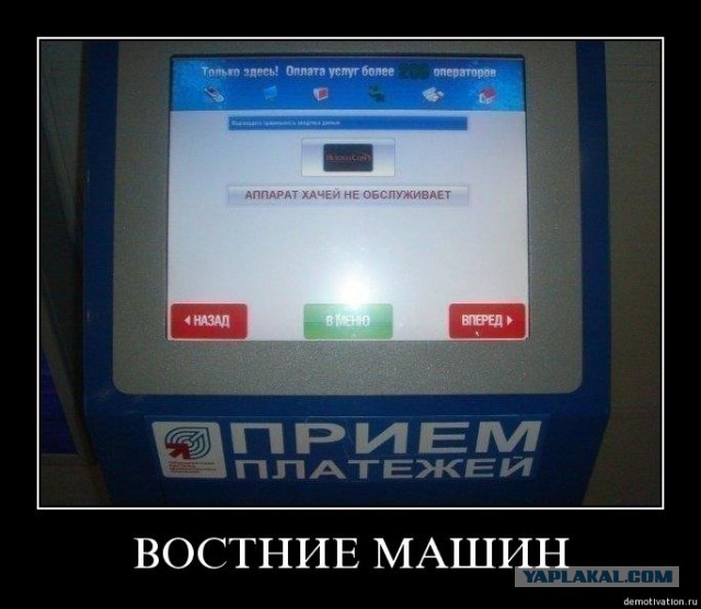 Картинки из интернетов