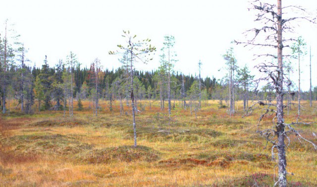Карелия. Паанаярви