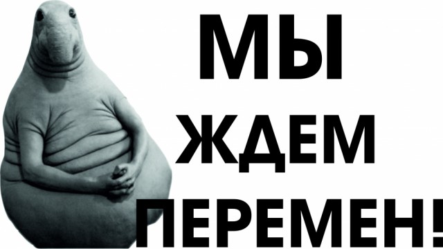 Да, плевали они на нас