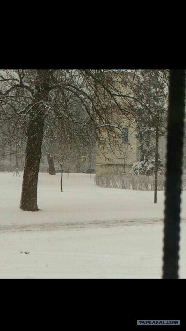 Санкт-Петербург. Апрель