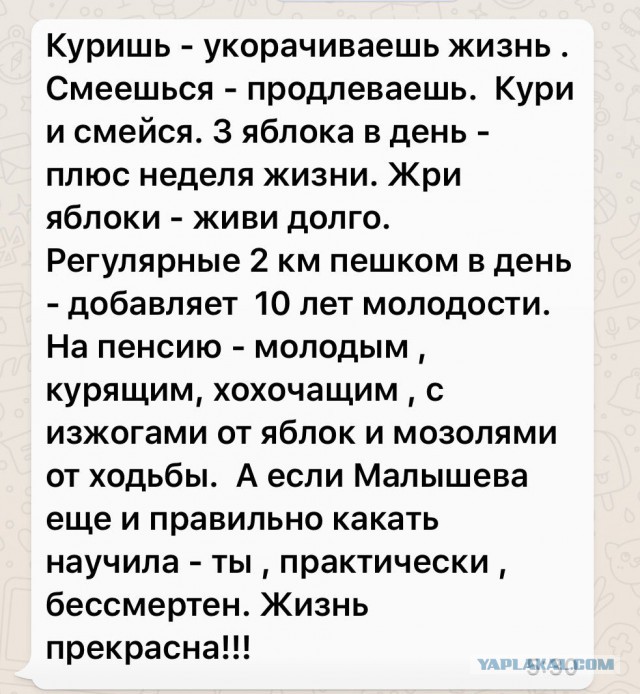 Субботняя порция перлов, высказываний, котоламповых историй