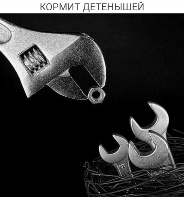 Картинки всякие для поднятия настроения!