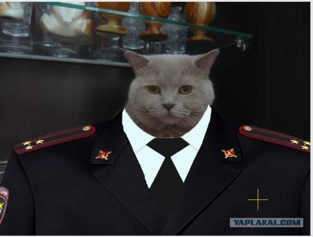 Мышка-НАРУЖКА