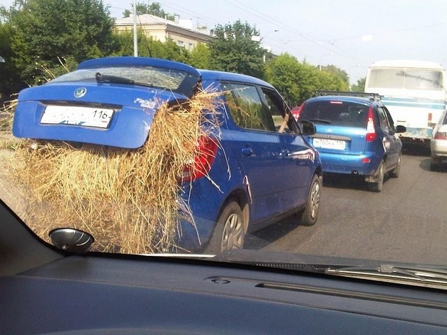 Казанские колхозники настолько суровы...