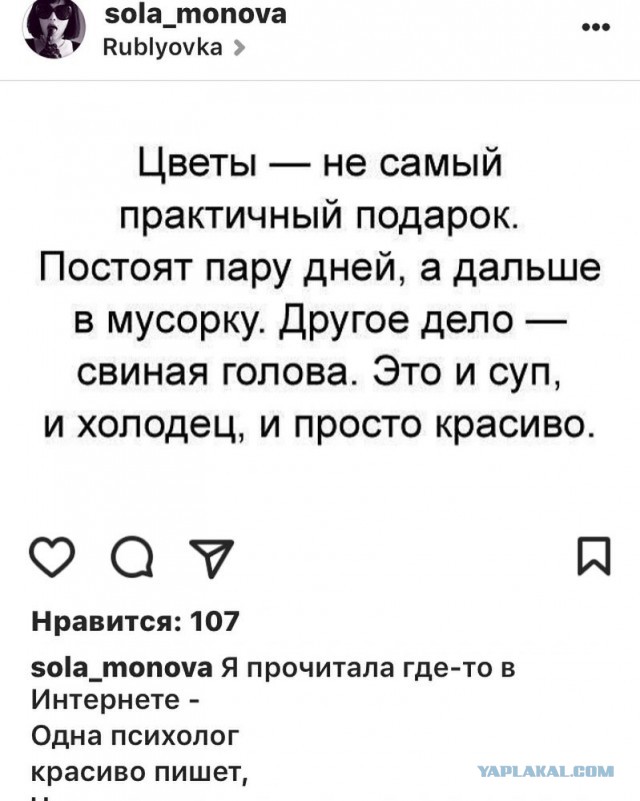 Новый вид содержанок