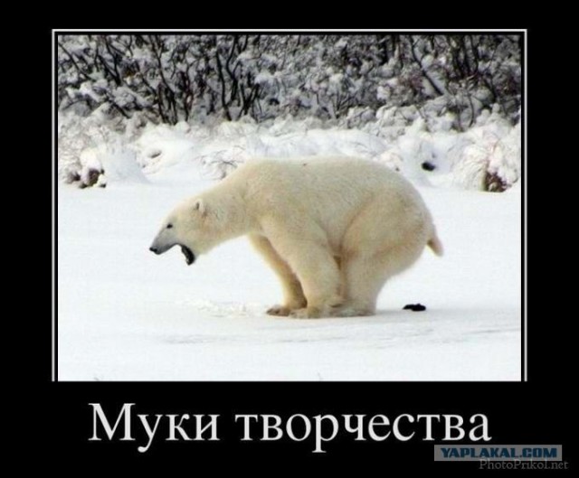 Морда на замену