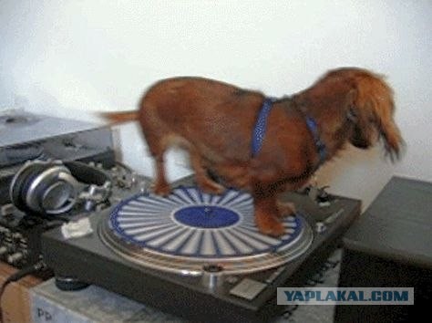 Эта музыка будет вечной!